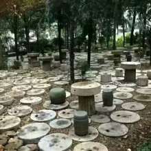 郓城县腾冠木业加工厂 供应产品